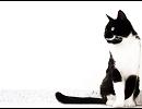Don't Say Goodbye / Kevin Johnson