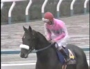 1994(平成6年)　菊花賞　本馬場入場