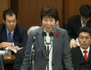 岡崎トミ子氏「ソウルでの反日デモ参加は国益のため」
