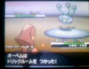 これが、トリパだ