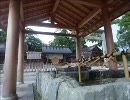 参道をゆく ～丹後一宮 籠神社～