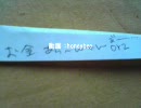 UFOキャッチャーで取ってみた。2
