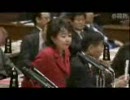 2010年10月14日　参議院　予算委員会　猪口邦子議員の質疑