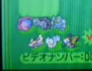 香港プレイヤーのポケモンバトルPart5【そんなパーティで大丈夫か？】