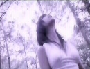 Dio / day after day (PV)