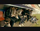 Light Session #14 「We are Standard "The first girl who got a kiss" 」