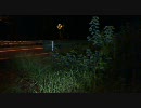 【心霊スポット】静岡県 稲○廃隔離病棟 その1