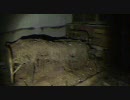【心霊スポット】静岡県 稲○廃隔離病棟 その2