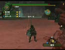 【ＭＨＦスカイプ実況】のんびり狩日和　第19夜
