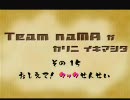【MHP2G】 Team naMA　本日のお戯れ　その15【実況】