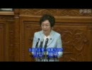 2010年1月28日 参議院　本会議　川口順子議員