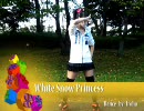 【いろは】白い雪のプリンセスは【踊ってみた】