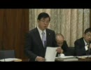 2010年1月28日 参議院　総務委員会　礒崎陽輔議員の質疑