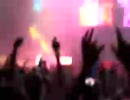 STEVE AOKI LIVE