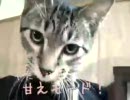 奈津さん！ん～ん～鳴くのは、やば過ぎです【ずぶ濡れ子猫寝起き編】