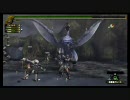 【MHS】稀少種連激戦－その弐－【プレイ動画】