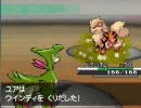 ポケモンＢＷ　ランダム対戦動画　その６