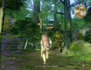 FF14　チラリズム