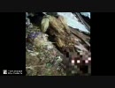 映り込んだミイラ