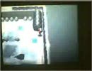 ポケットモンスターホワイト セッカジム ハチク