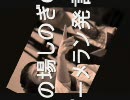進次郎vs蓮舫