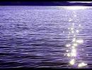 Enya - The Memory of Trees
