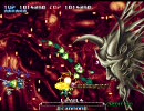 PULSTAR　STAGE7～8