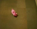 キティ見て起きたら変な動画作ってた【キティ謎動画】