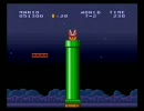 スーパーマリオコレクション Wiiでマリオ２をプレイ　その8