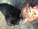 XPERIAで撮ってみた