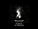 【作業用BGM 】GALNERYUS - THE AWAKENING【第5回】