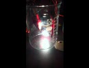 シャー芯電灯 1回目 【HB 0.5mm】