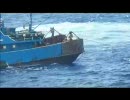 尖閣列島 支那漁船の行動 ０１ 流出モノ？ an outflowed Senkaku affair video 01