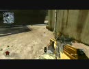call of duty black ops デコイの長さ