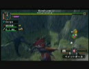 【MHP2G】靭尾求めて三千里【第4狩】