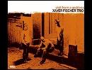 Xaver Fischer Trio  Better times