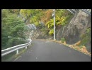 紅葉の油坂峠　国道158号線