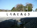 如月千早の城址あるき　－山中城－