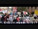 予告!11/13尖閣を守れ！中国に自由を！APEC横浜開催に伴う緊急抗議デモ