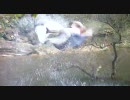 【武 侠】　射　鵰　英　雄　伝　34-3 吹替え