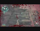 【PS3】ショットガン・ハッピー in Sector Control②（カブール廃墟）【MoH】