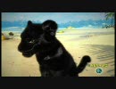 【XBOX360】KINECTIMALS プレイ動画 6/10【キネクト】