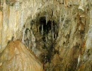 【ゾウディアック】コナンを読むと推理力は身につくか【実況】part10