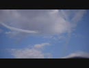 入間基地航空祭2010 23 デルタ・ロール