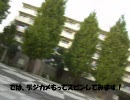 BMXスピンの中！　※回転酔いする人は見ないで～