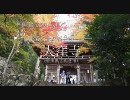 【四国遍路】大窪寺の秋【紅葉】