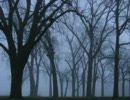 The Morningside - The Shadows Of The Past