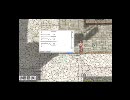 【RO】ぶつかってみた。