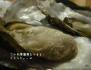 旅人なひととき　'10錦秋北海道横断の旅　#4