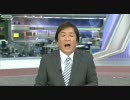 那須高原の牧場でアルパカの毛刈り　400頭一斉に